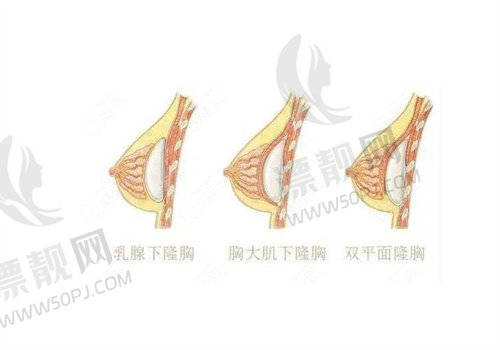 杨大平<span style=
