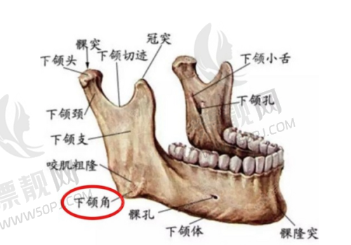 为什么选择梁伟中医生做眼部整形？