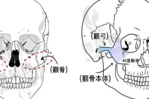 在线询问指南：足不出户获取定制方案