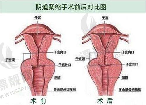 到院预约:直接感受医院氛围