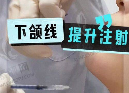 选择建议与价格参考