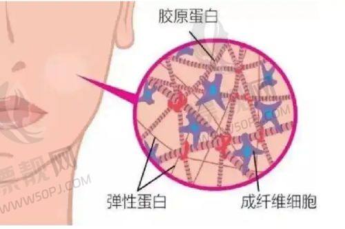 想知道做小V脸大概多少钱？效果、副作用、项目及维持时间全揭秘！