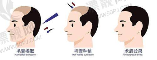 青岛皙博士医疗美容成效保护之专精团队