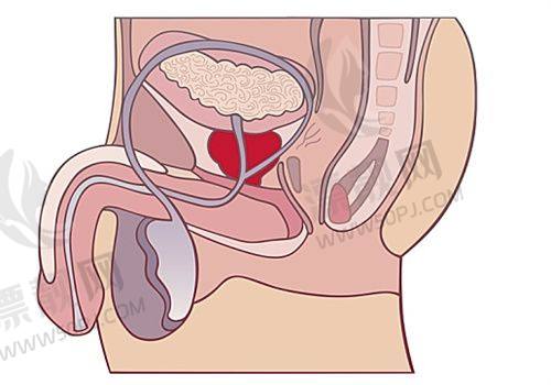 六、张家口悦尚医疗美容2025价格浮动情况