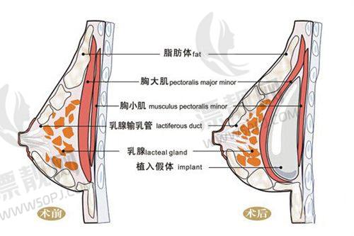 昆明吴氏嘉美美容医院术后随访服务