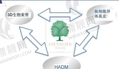 青岛皙博士医疗美容费用大揭秘