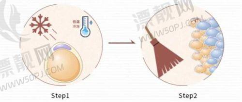 三、区域分布特点