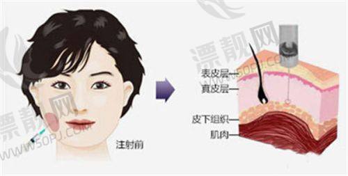 特色项目及技术大揭秘