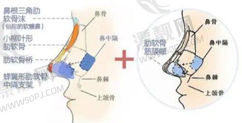 三、医美成效个体差异,理性选择项目