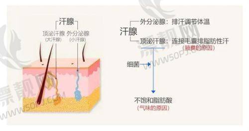 昆明吴氏嘉美美容医院项目价格表曝光！正规医院价格查询及项目详情大揭秘