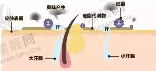 韩国原辰整形医院技术亮点