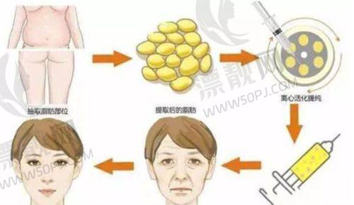 沧州正规的植发医院排名榜最新：沧州瑞丽、睿美、诺丽植发机构实力领衔！