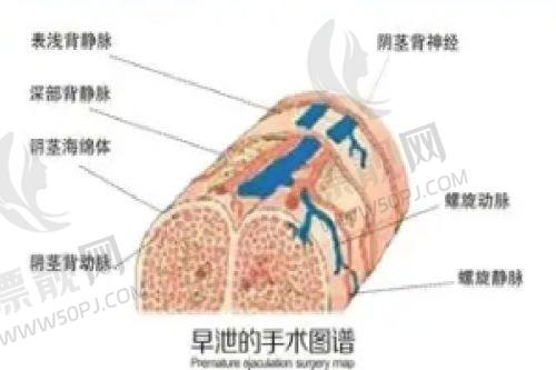 南京好的整形医院排名揭秘！江苏省人民医院、南京鼓楼医院、南京华韩奇致美容医院领衔