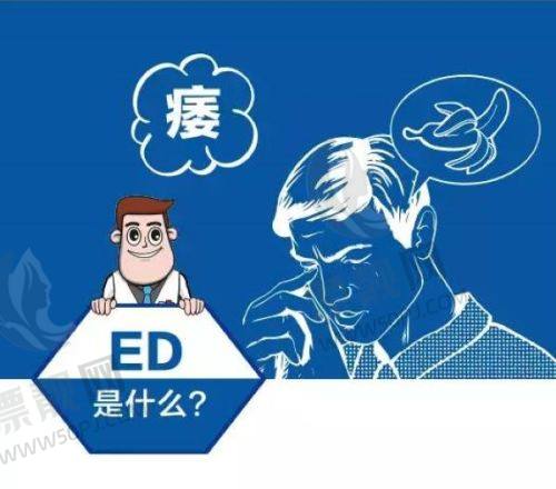 和宝尼达对比,各有千秋