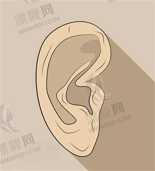 修复手术里的