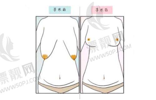 五、医院服务与预约信息