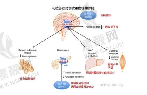 第二名（潜在排名）：武汉协和整形