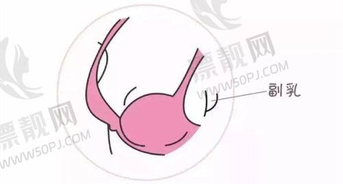 其他项目