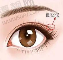 价格大揭秘,不同类型有不同价格