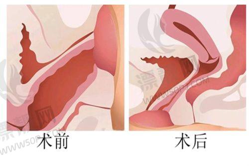 透明收费与贴心服务