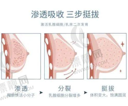 三、精细适配指南