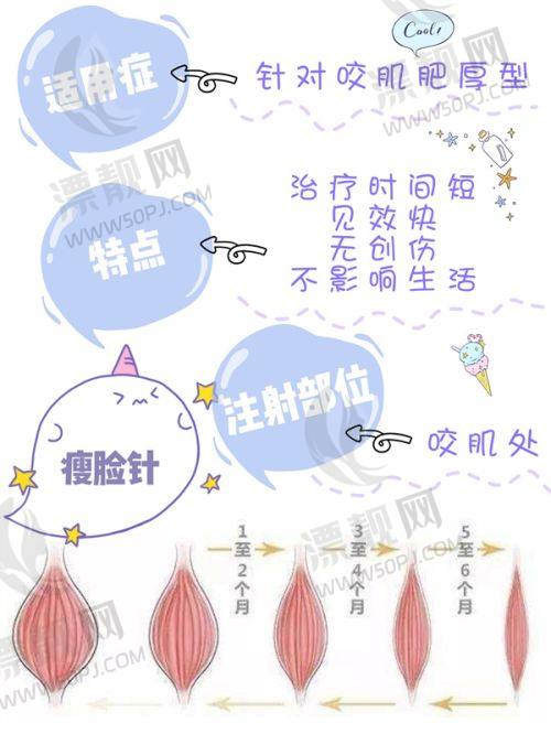 沈阳杏林整形医院鼻部整形项目收费揭秘