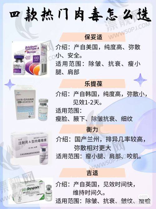 典型服务项目:满足多样需求