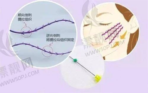 未来展望:云南吴氏嘉美整形医院的发展前景