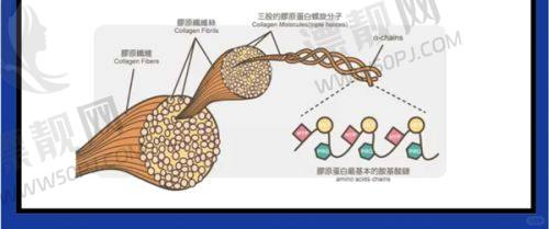 医院的环境与服务体验