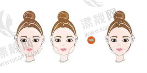 擅长领域——美丽的多元选择