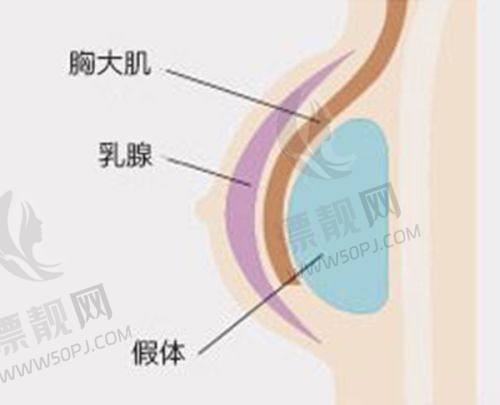 【科研前列】正在研发的疤痕黑科技