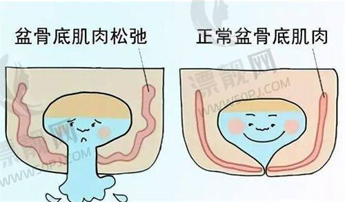 鼻综合手术项目