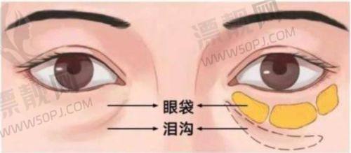 1. 张冰洁医生