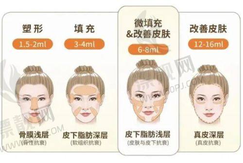 三、专项技术对比