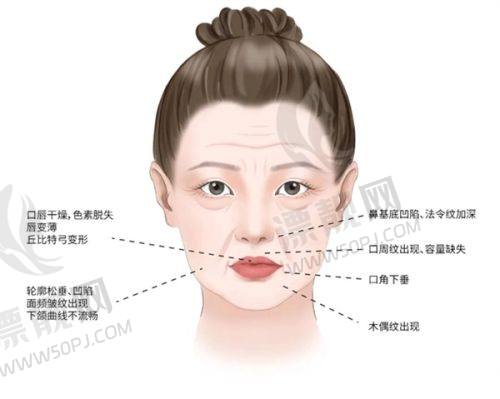 傲诺拉四个系列价格及适用情况表格