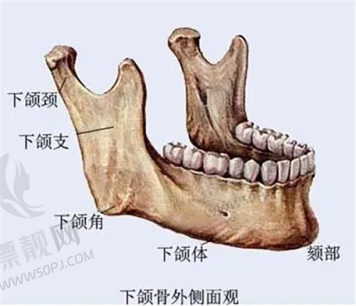 两家医院关键共性优势大揭秘