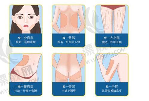 二、专精实力:技术与设备的双重保护