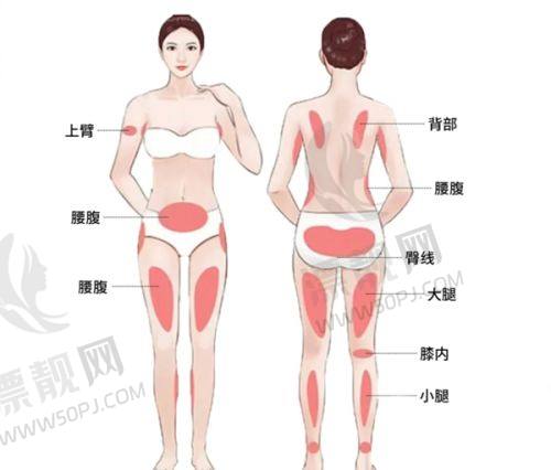多领域整形高能选手——卜虹森
