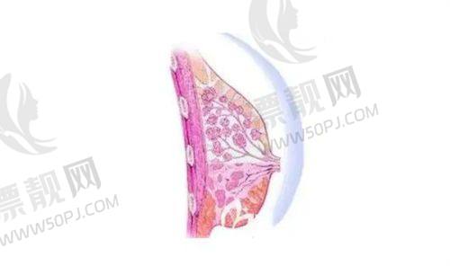 【真实实例说话】近期惊艳的修复作品