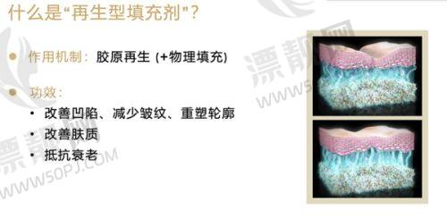 技术革新者的海内外视野