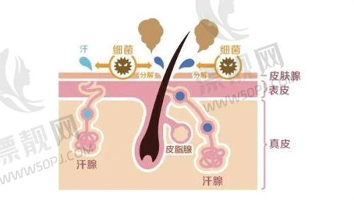 选择建议,让你不再迷茫