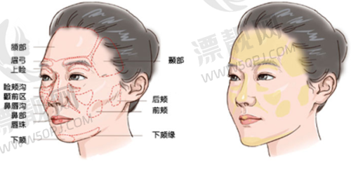 北京蓝奥整形医生哪位好？为你揭秘北京蓝奥那些口碑超棒的整形医生！