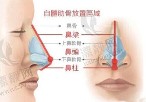 行业对比数据显优势
