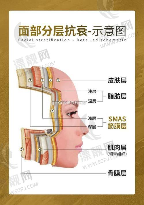 TOP3 郑州市中 心医院整形美容科