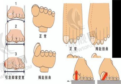 硬件设施配置:高端设备,保驾护航
