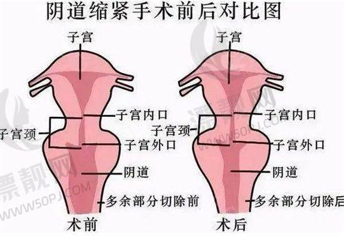 了解广州建国医院的具体资质