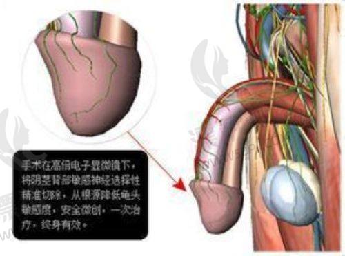 长春铭医整形美容医院营业时间情况