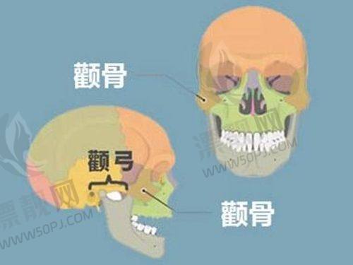 四、成效差异见分晓