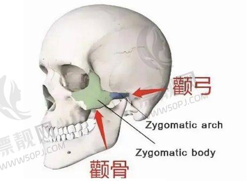 消费者满意度:口碑爆棚,实力见证