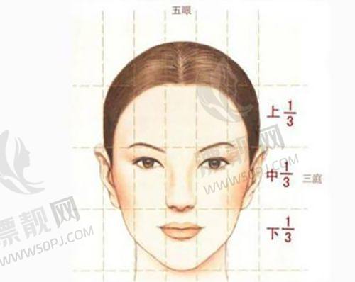 选择建议